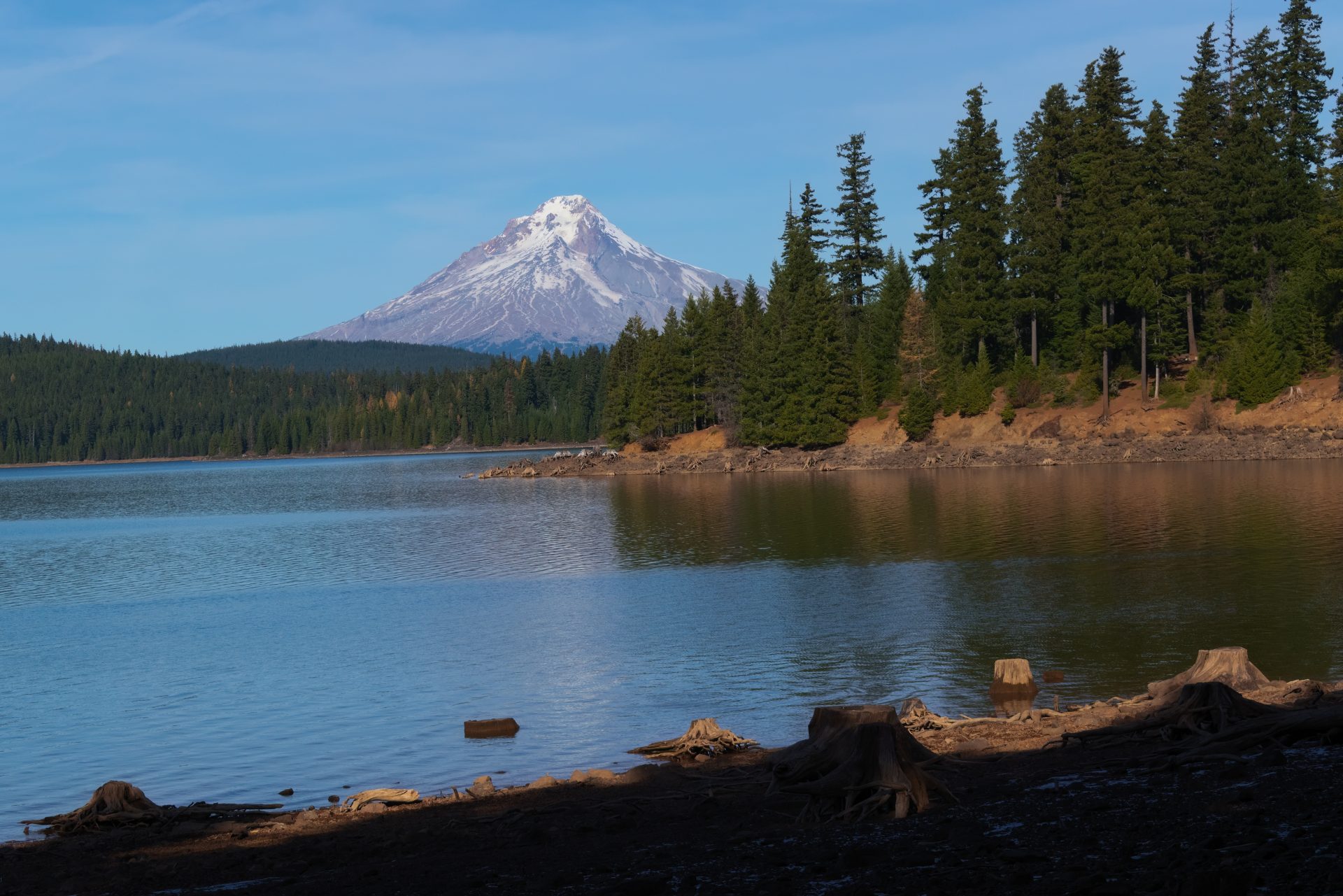 AdobeStock_311447941